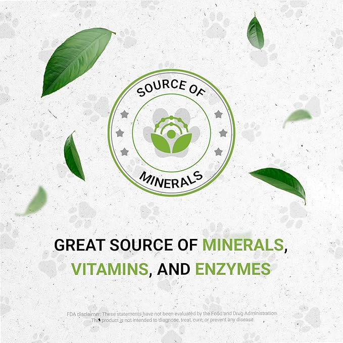 Lion's Immune Boost | Natural Herbal Dietary Supplement | Immune Support in Cats | Alcohol-Free Extract, Elder Flowers, Calendula, Dandelion Root, Lemon Balm, Fennel 2 oz