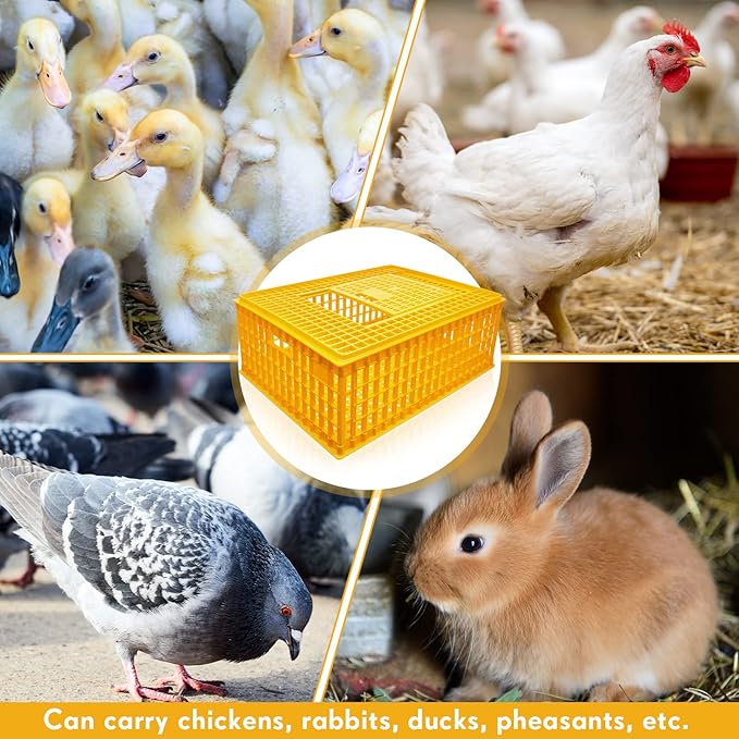 Sintuff 4 Pcs Poultry Carrier Crate Plastic Chicken Transport Cage Bird Carriers Chickens Carrier Travel Crate Basket Box for Poultry Chicken Bird Duck Goose, 29.5 x 21.7 x 11.6 Inch