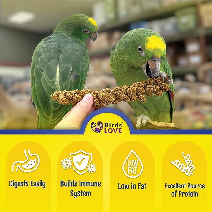 Birds LOVE Economy Special Spray Millet GMO-Free (No Stems Only Edible Tops) for Birds Cockatiel Lovebird Parakeet Finch Canary All Parrots Healthy Treat - 7oz