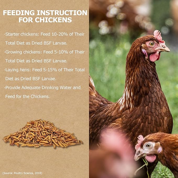 Premium Dried BSF Larvae for Chickens - 1LB High Calcium Supplement, Molting and Laying Support, Non-GMO & High-Protein Treats, Food for Wild Birds, Ducks, Repitle | Top Grade BSF