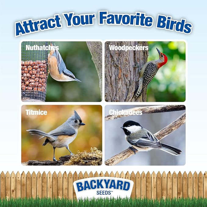 Backyard Seeds Peanut Hearts for Wild Birds 10 Pounds