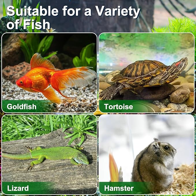 4pcs Mini Portable Fish Tank Plastic Turtle Fish Tank Transparent Pet Breeding Cage Acrylic Reptile Cage Reptiles Feeding Box Hamster Turtle Cage for Small Pets