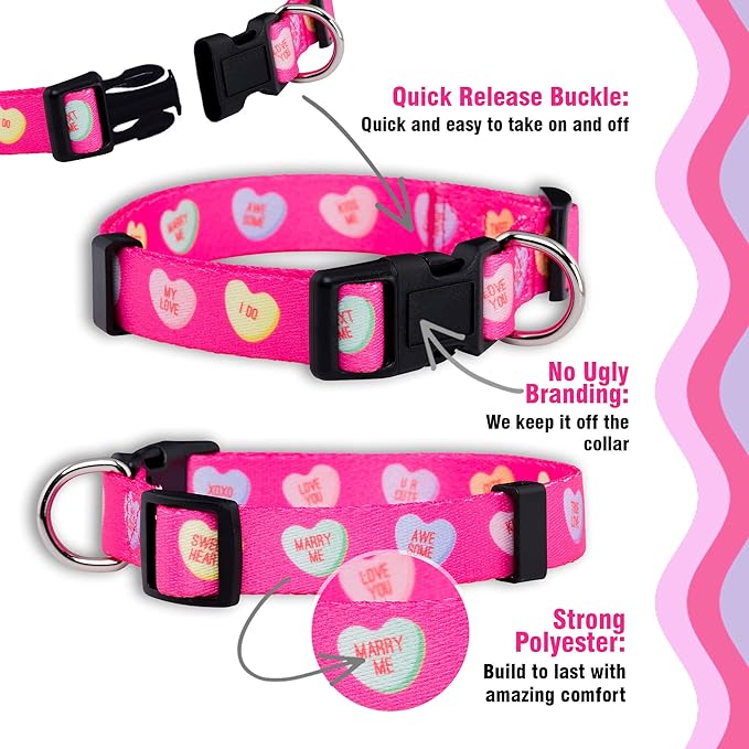 Native Pup Valentine’s Dog Collar- Valentines Day Pet Collars- Valentine Girly Hearts- Pink Red Heart- Cute Boy Girl Puppy Gift- Adjustable for Small, Medium, Large Breeds (Candy Hearts, Small)
