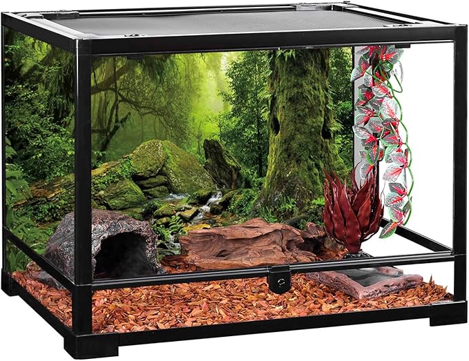 AWERT Tropical Forest Terrarium Background Stream Green Huge Tree Reptile Habitat Background Foggy Rainforest Aquarium Background 24x12 inches Polyester Background