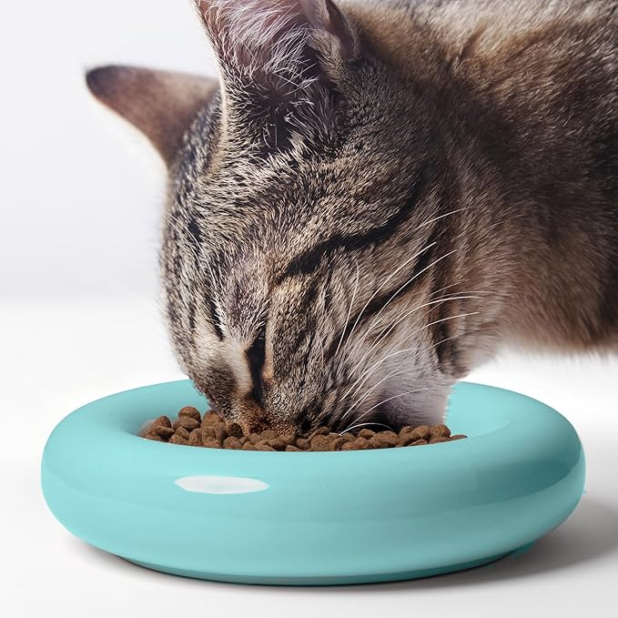CatGuru Cat Food Bowl, Ceramic Bowls for Indoor Cats, No Spill Cat Feeding Bowl, Whisker Stress Free Kitten Bowls, Non Skin Pet Bowls for Food and Water (Torus - Set of Two, Aruba)