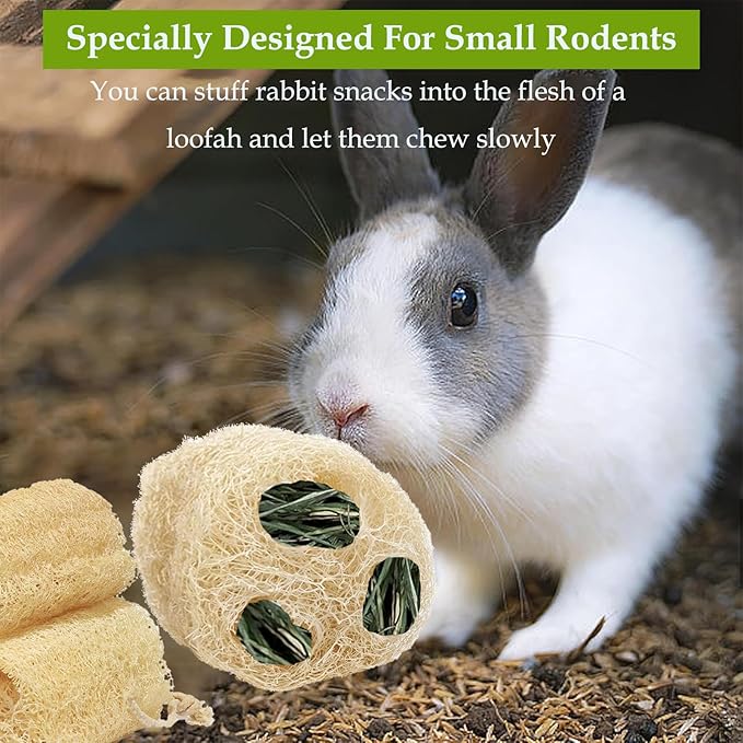 4PCS Rabbit Loofah Chew Toys, Organic Natural Loofah Toys Teeth Cleaning Bath Tools, Handmade Fiber-Rich Bunny Chew Toys for Guinea Pig, Hamster, Rat, Chinchillas
