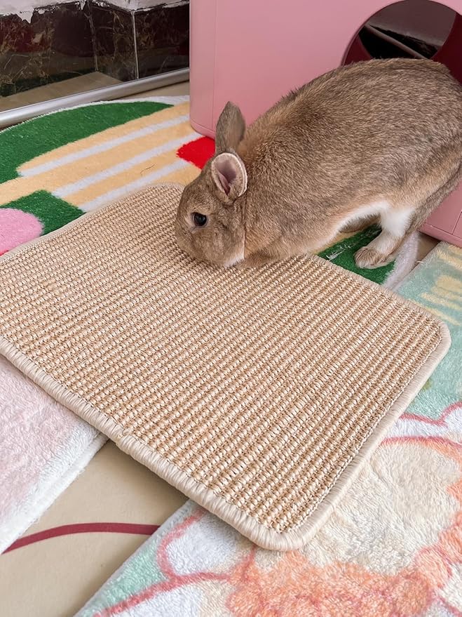 Rabbit Scratching Pad 2 Pack Natural Sisal Bunny Scratch Pads Small Animal Nail Scratcher for Indoor Grinding Claw Mat Pet Rug for Guinea Pigs Chinchillas Ferrets (White)