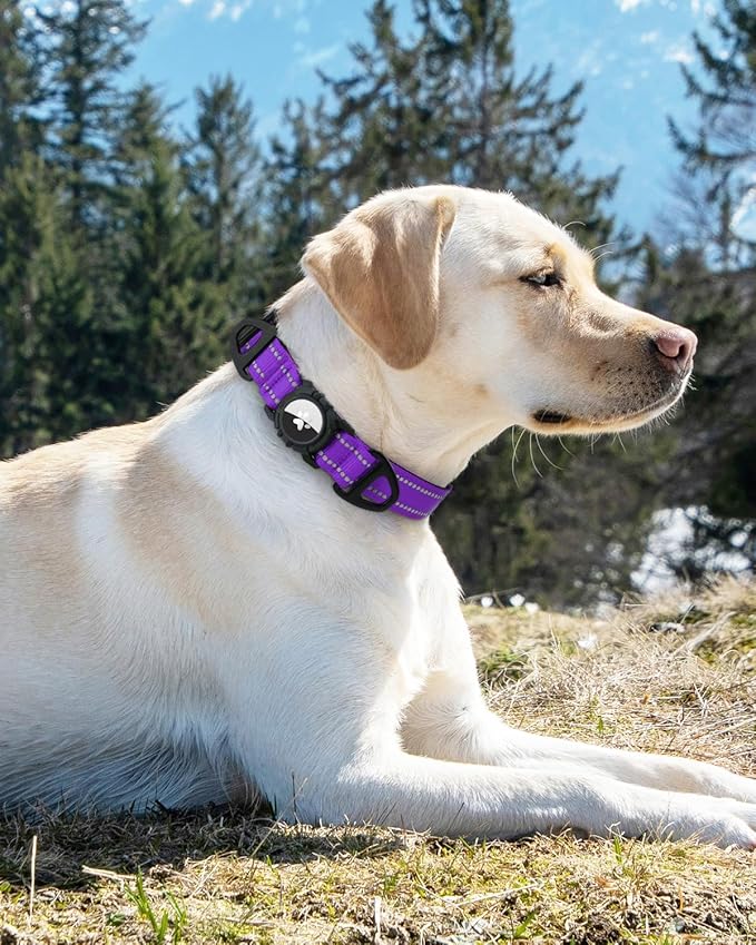 Joytale Airtag Dog Collar, Reflective Pet Collar with Waterproof AirTag Holder, Dual D-Rings, Soft Padded Adjustable for Extra Small and Puppy Dogs, Purple, XS