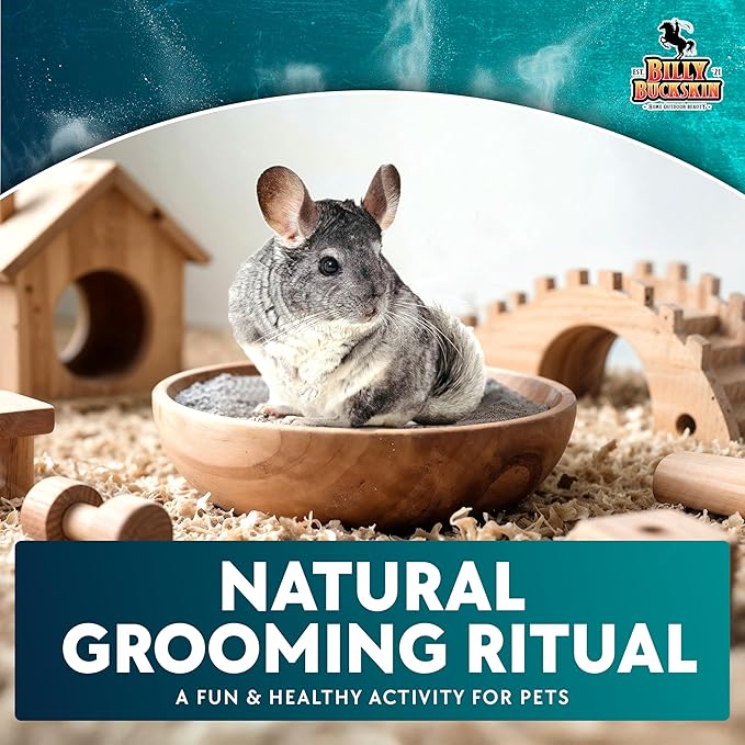 3 LB. Chinchilla Dust Bath Jar - Pure Cleansing Pumice Sand Dust for Cleaning Small Pets Like Gerbils, Mice, Degu - Premium, All Natural Dusting Powder - Chinchilla Accessories by Billy Buckskin