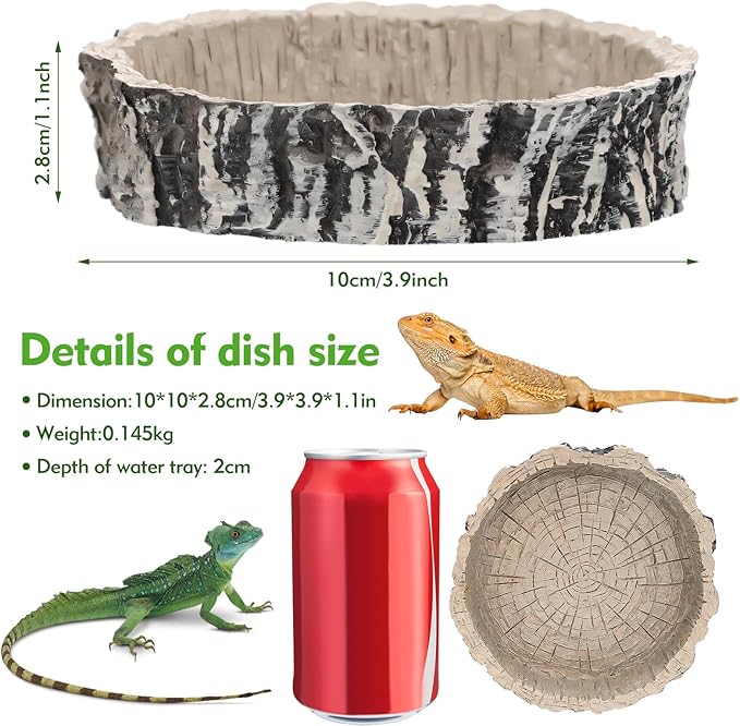 Small Reptile Food Dish 2 Pack - Novelty Feeding Bowl for Lizard, Gecko, Spider, Scorpion & Chameleon