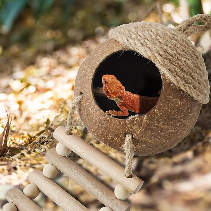 Lizard Coco Den with Ladder,5PCS Leopard Gecko Tank Accessories Reptile Terrarium Plants Hammock Coconut Hut Hide Hanging Reptile Decor for Crested Gecko,Baby Bearded Dragon,Chameleon,Snake