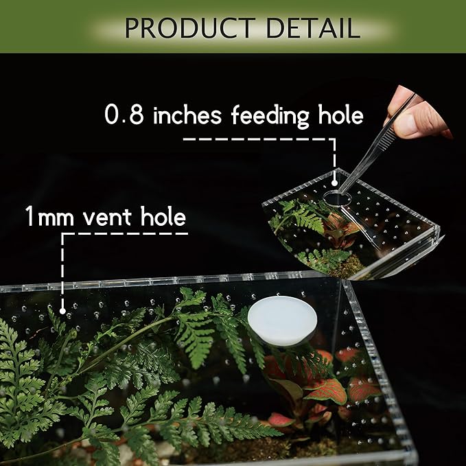 Acrylic Terrarium for Reptiles & Spiders – Small/Medium/Large Leak-Proof Enclosure (Horizontal/Vertical) | Ideal for Tarantulas, Jumping Spiders, Frogs & Geckos (Large Vertical)