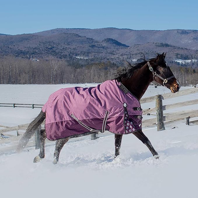 Equinavia Norse Lightweight 100g Fill Horse Rain Blanket | Waterproof Turnout Sheet - Black - 66 in - Plum Wine/Orchid Haze - 69 in
