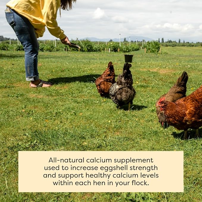 Scratch and Peck Limestone Supplement for Chickens and Ducks - High in Calcium, Made from Pure and Sustainably Sourced Limestone - 8 lbs Bag