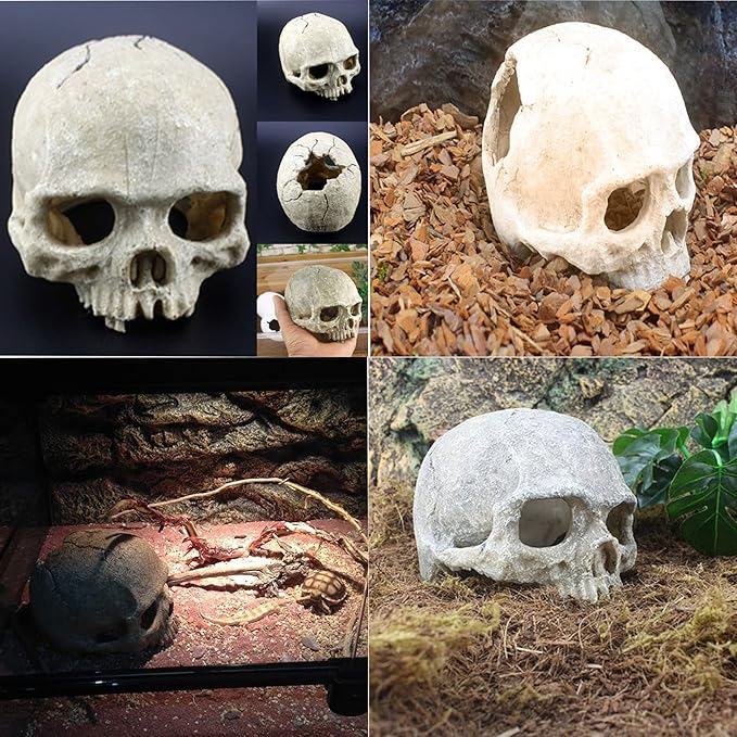 Tfwadmx Reptiles Skull Hide Decorations Bearded Dragon Tank Accessories Terrarium Ornament Gecko Hideouts Cave Snake Habitat Jungle Climber Bendable Vines Leaves for Lizards,Chameleon,Spider (4 Pcs)