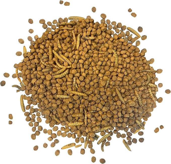 Exotic Nutrition Starter Package for Hedgehogs - Includes Exercise Wheel, Healthy Food, Natural Treat, Multi-Vitamin & Hideout