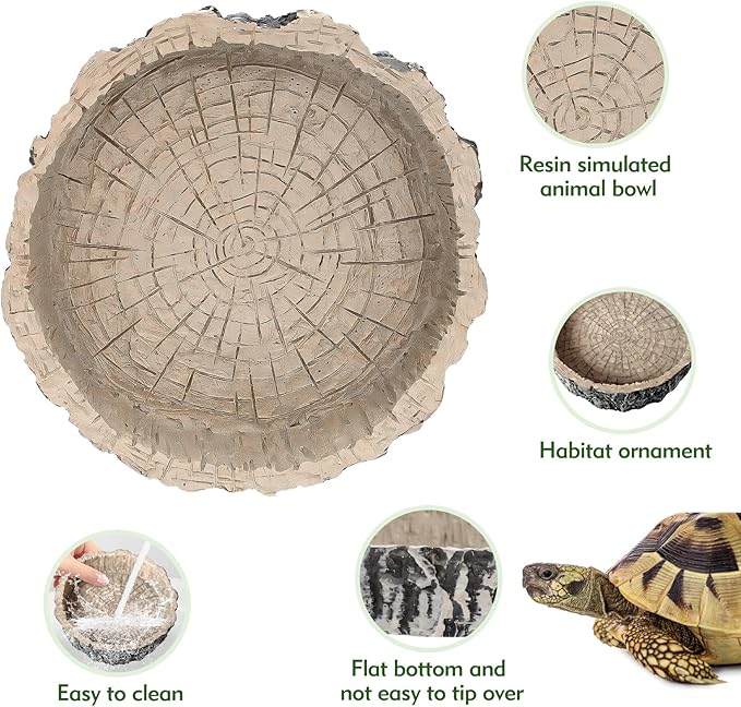 Small Reptile Food Dish 2 Pack - Novelty Feeding Bowl for Lizard, Gecko, Spider, Scorpion & Chameleon