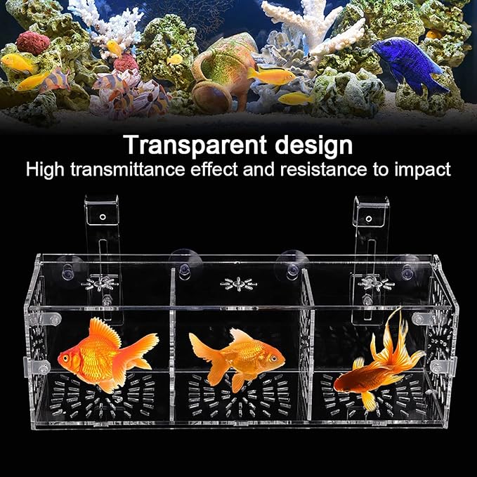 Acrylic Transparent Fish Tank, Breeding Isolation Box Aquarium Hatchery Incubator Holder with Screw Reinforcement, Convenient Use Comes with Isolation Board for Fish Breeding