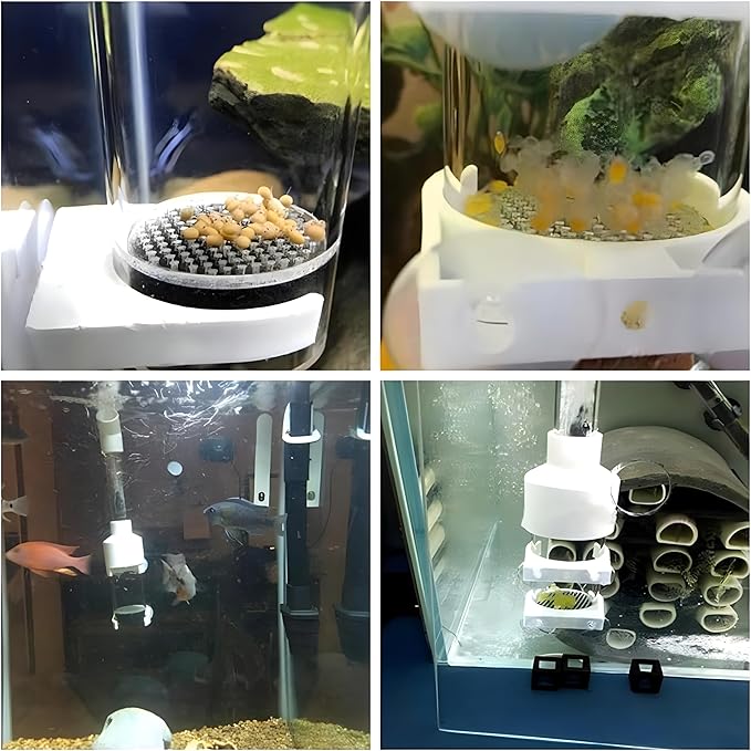 Aquarium Egg Incubator Tumbler - 50mm Fish Hatchery for Cichlids and Mouth-Brooding Species