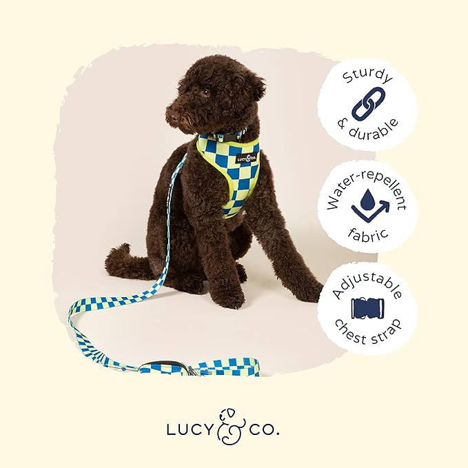 Lucy & Co. Lime Green with Blue Checker Smiley Faces, Cute Reversible Dog Harness Walking Halter - Best Designer Pet Harnesses for XS - XL Dogs - Padded Adjustable Vest for Easy Walking (Small)