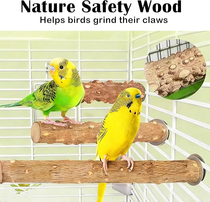 Brid Perch Stand 7PCS Natural Perches for Parakeets Include Ladder for Birds cage,Bird Cage Accessories for Parakeets, Cockatiels, Conures, Lovebirds (Nature Wood, Free Size 7pcs)