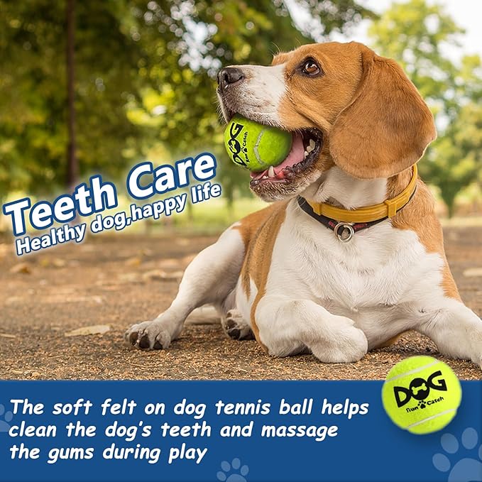 Tennis Balls for Dogs - Bulk 50 Pack 2.5'' Durable Non-Toxic Outdoor Dog Toys Balls with Mesh Bag, SGS Certified, Colorful Fetch Toys, Medium Large Breeds (Non Squeaky)