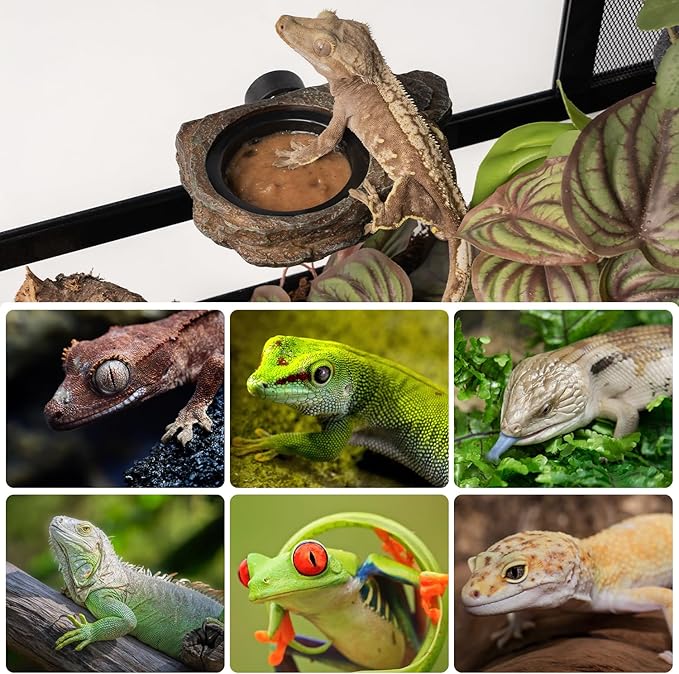 OIIBO Magnetic Gecko Feeding Ledge, Reptile Food Dish with 3PCS Feeding Cups Crested Gecko Feeder Ledge Water Bowl for Lizard Chameleon Bearded Dragon Tank Accessories