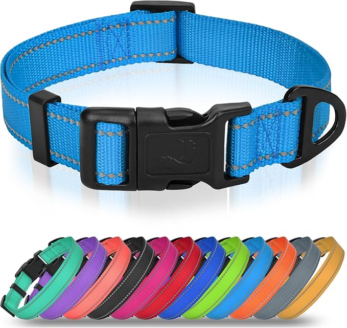 Joytale Reflective Dog Collar, Adjustable Nylon Pet Collar with Quick-Release Buckle for Medium Dogs, Sky Blue, M