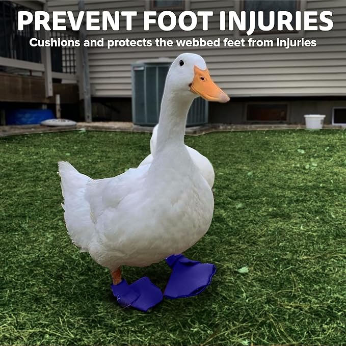 Duck Shoes for Injured Feet – Protective Neoprene Footwear for Ducks, Protective Shoes for Birds with Injured feet, Bumblefoot Relief - Large, 4.5” Max. Inside Width - Royal Blue