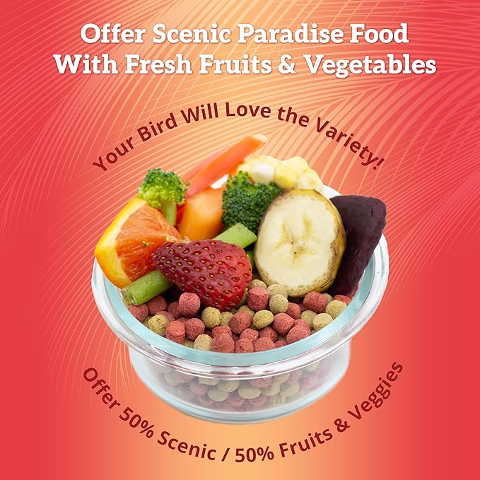 Scenic Mix Paradise Premium Parrot Food - Apple & Natural Flavors, High Protein, Low Iron Conure Bird Food, Eclectus & Other Small Pet Parrots, Omega 3, Vitamins & Minerals, 2 LB (Pack of 2)