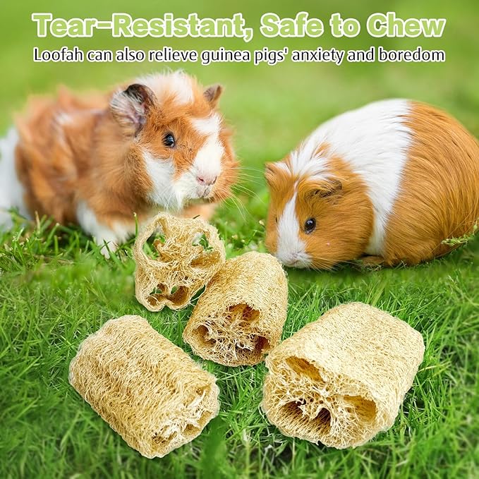 BNOSDM Bunny Chew Toys Natural Loofah 4PCS Bunny Teeth Grinding Toy Rabbit Fiber-Rich Treats Pet Entertainment Accessories for Rabbits Chinchillas Guinea Pig（L）