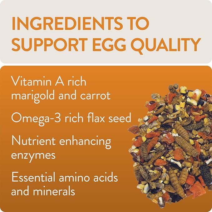 Enhance, Functional Poultry Treats for Egg Production & Quality, 1.5 lb