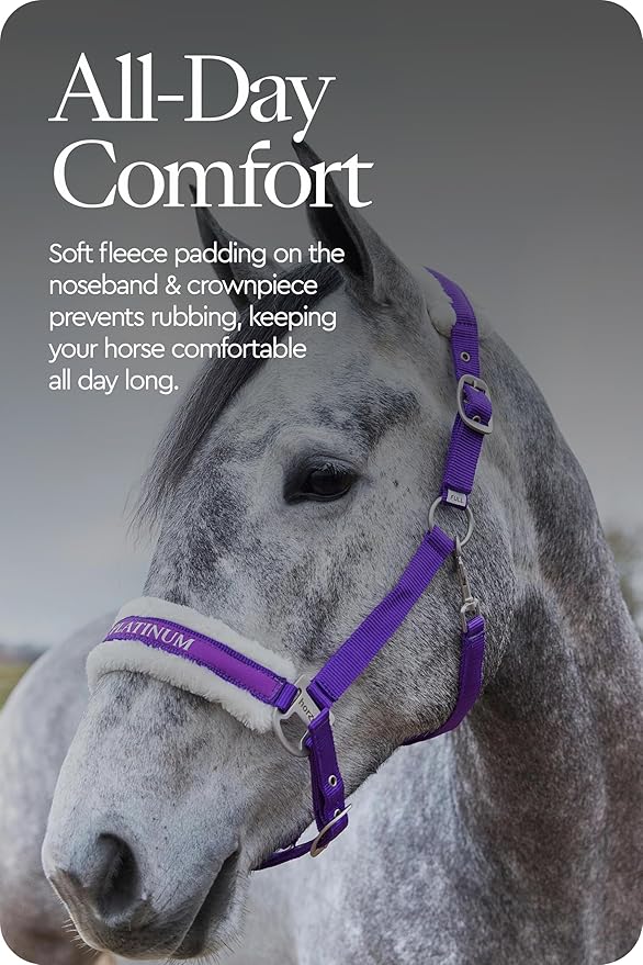 HORZE Howard Soft Fleece Padded Polyester Horse Halter - Quick and Easy-to-Adjust Straps, Brushed Nickel Hardware, and Throat Snap Closure - Purple (Horse)