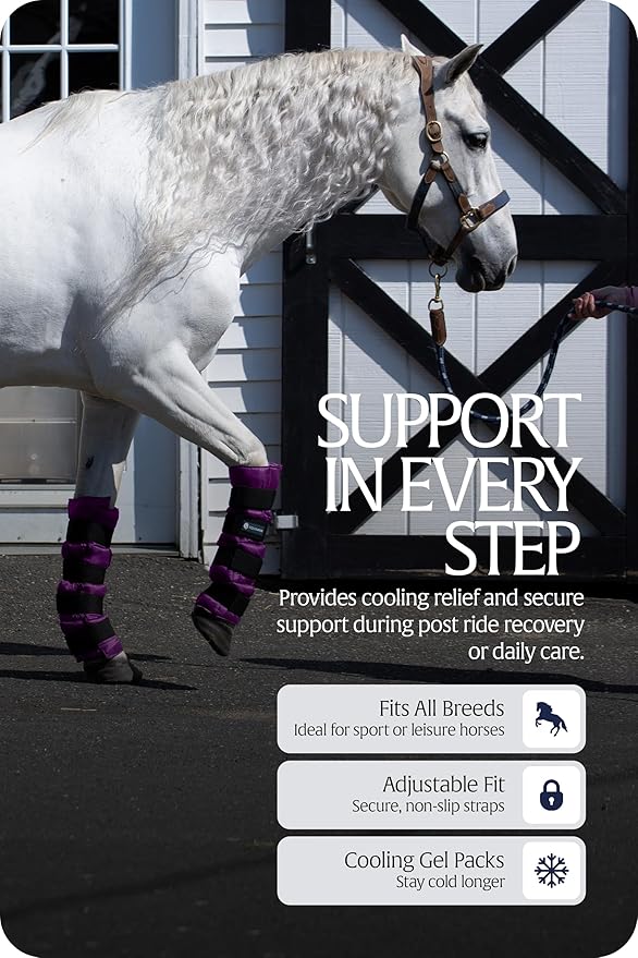 Equinavia Cool Relief Therapy Ice Boots Leg Wraps for Horses, Gel Pack with Adjustable Straps | 16.5" x 15.5" Single - Purple - Single - One Size