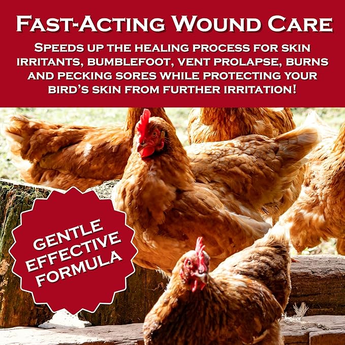 Chicken's Choice Wound Care for Chickens & Birds. Advanced Wound Care Spray for Poultry. Works for Bumblefoot, Vent Prolapse, Pecking Sore, Burns & Skin Irritations. Makes 32 oz Spray.