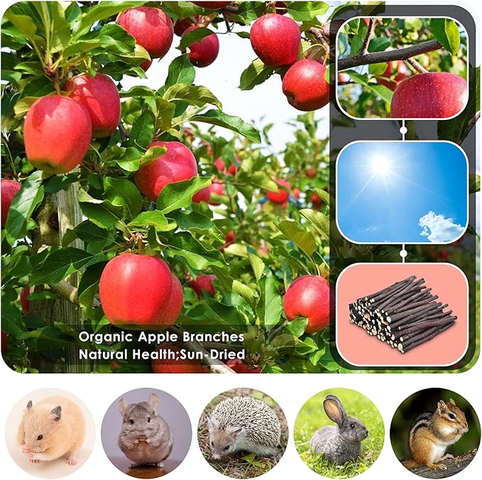 ERKOON Natural Apple Sticks 500g (1.1lb) Small Animals Molar Chew Toys Apple Branch Chew Treats for Hamster Rabbit Chinchilla Bunny Guinea Pig Squirrel