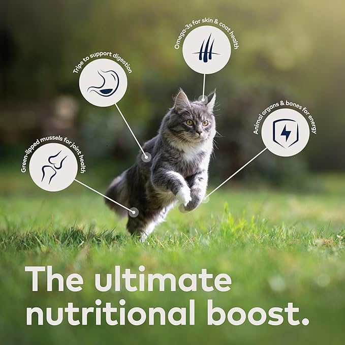 ZIWI Peak Wet Cat Food Variety Pack - Beef, Chicken, Lamb, Venison, 24 Pack (3oz Each)