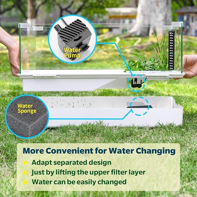 BETAZOOER Turtle Tank with Adjustable Water Pump Filter, Full View Visually Tortoise Aquarium Habitat, Glass Material Easy Changing Water&Clean for Small Amphibious Creatures Reptiles (23"×13.5"×10")
