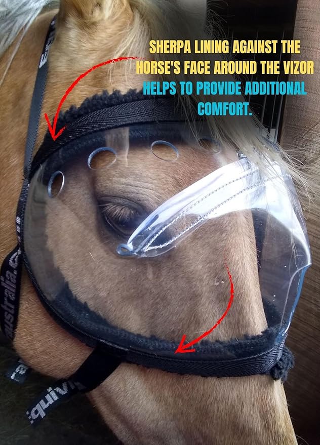 Recovery Vizor, (Size Full - Clear UV Tint) Medical and Preventative Horse Eye (Goggle) Protection Mask for Uveitis, Injury, Scratch or Corneal Infection, Blindness.