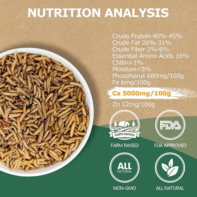 Premium Dried BSF Larvae for Chickens - 10LB High Calcium Supplement, Molting and Laying Support, Non-GMO & High-Protein Treats, Food for Wild Birds, Ducks, Repitle | Top Grade BSF