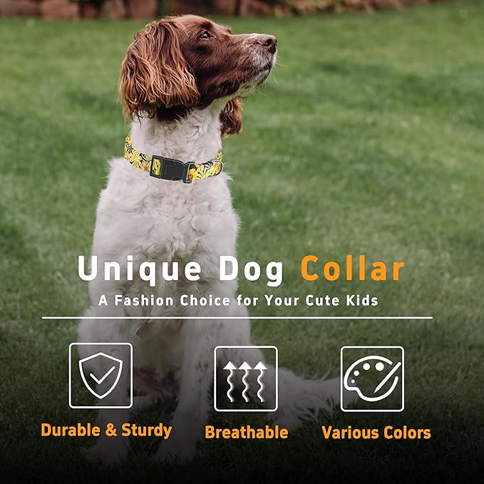 Adjustable Soft Pattern Pet Collar with Safety Buckle for Boys Girls and Puppies (Yellow Floral,M)