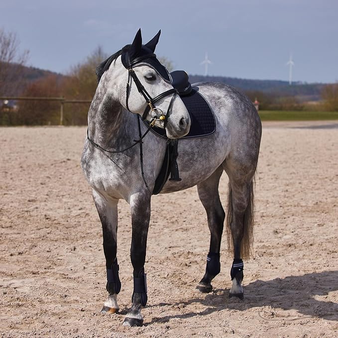 HORZE Adepto Open Front Tendon Boots | Durable Shell with Neoprene Lining - Dark Navy - Warmblood