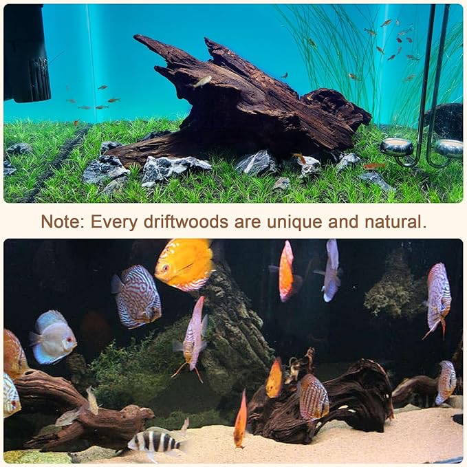 LYPHARD AQUARIUMS Natural Driftwood for Aquarium Decor, 2 Pieces 9-14" Large Assorted Branch Decorations for Reptile Hide, Fish Tank
