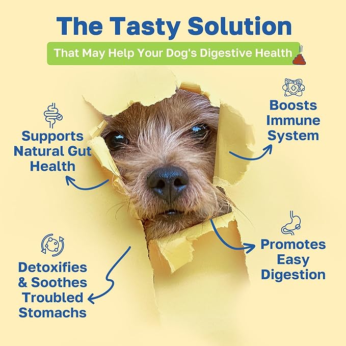 Happy Paws Digestive Supplement for Dogs, Supports Gut Health for Dogs of All Breeds & Ages, Made with Probiotics, Enzyme Blend & Ginger Root, Pumpkin Flavor, Organic, Non GMO, 200 Soft Chews