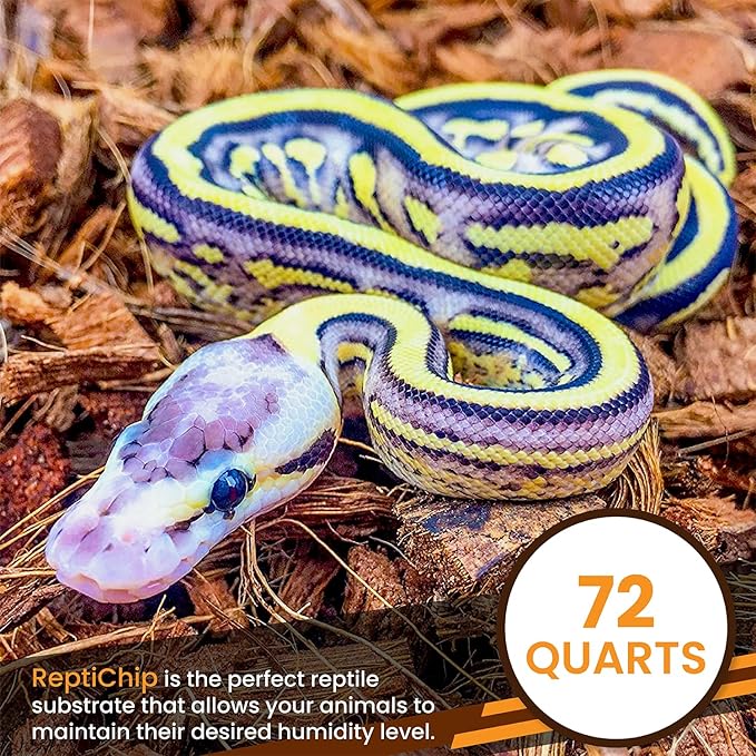 ReptiChip Reptile Substrate Coconut Chip Bedding 72 Quart Compressed Organic Coco Husk Block for Snake Habitat, Ball Python Terrarium, Turtle Tanks, Tortoise Enclosure (10 Pk)