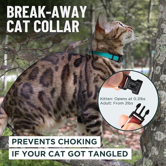 OutdoorBengal Red Breakaway Kitten Collar - Ultra Safe Quick Release Cat Collar for Small Kittens Under 6 Months – Soft-Padded, Lightweight, Adjustable, Thin and Comfortable, No Bell (Red, Kitten)