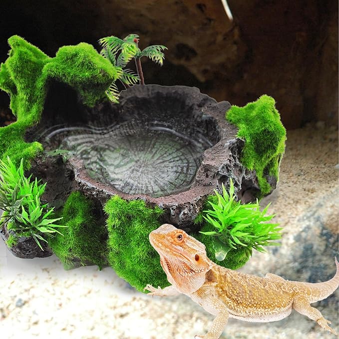 kathson Resin Reptile Bowl Bearded Dragon Food Dish Lizard Water Dish Reptiles Feeding Bowls with Feeder Tweezer for Leopard Gecko Tortoise Chameleon Water Frog Hermit Crab
