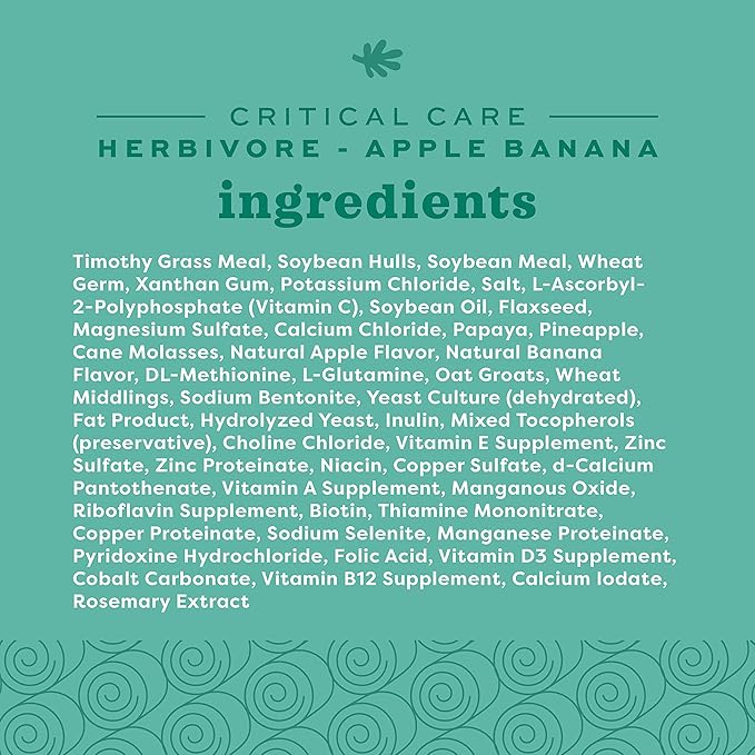 Oxbow Critical Care Herbivore, Emergency Guinea Pig Food, Rabbit Food for Recovery, Natural Apple Banana Flavor, Veterinary Formula, Critical Care for Guinea Pig Emergency Kit, Made in USA, 141 Grams