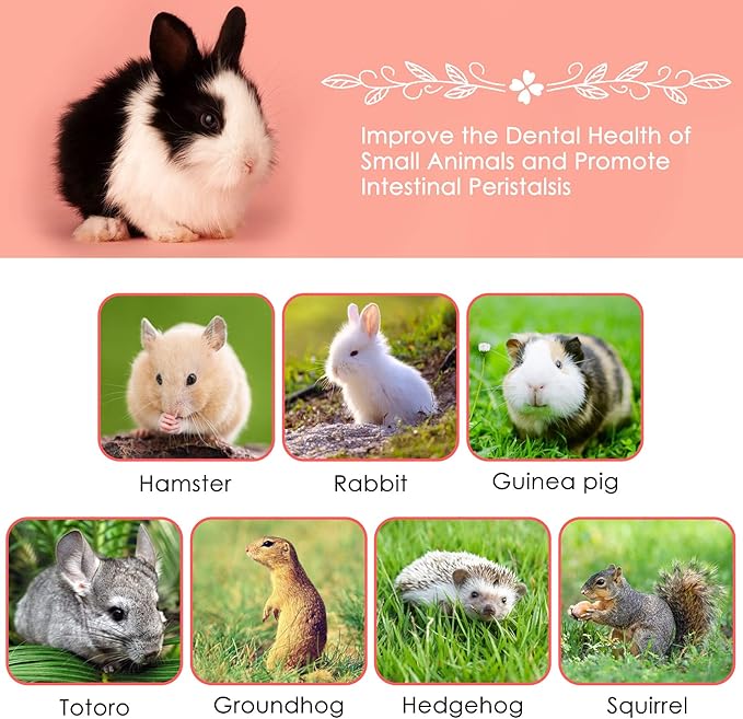 ERKOON Natural Apple Sticks 500g (1.1lb) Small Animals Molar Chew Toys Apple Branch Chew Treats for Hamster Rabbit Chinchilla Bunny Guinea Pig Squirrel
