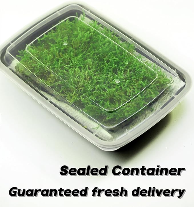 Moss Terrarium Beding Live Moss Terrarium Moss for Reptiles Peat Moss for Reptiles Habitat Bedding Moss for Snakes Turtle Frog Gecko and Other Reptiles Substrate Composite 3